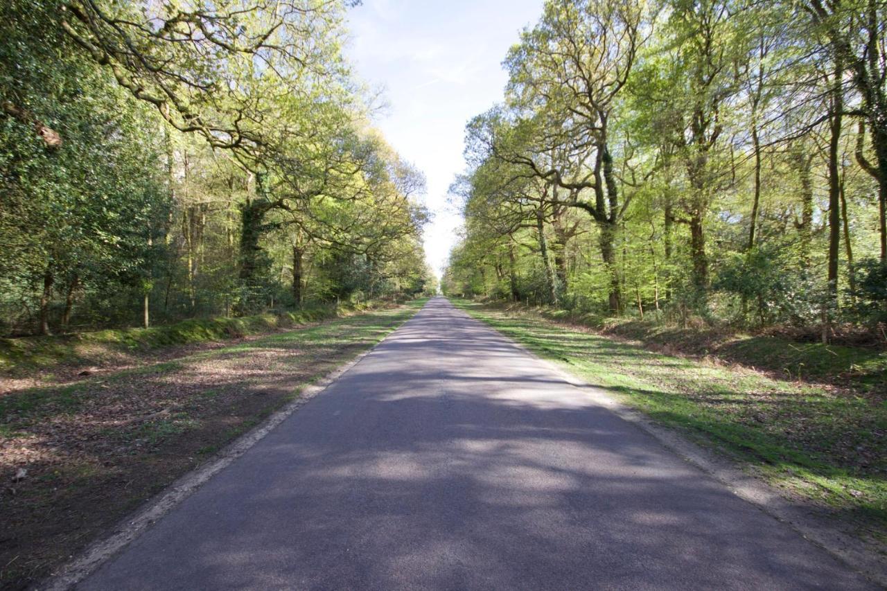 Avondale New Forest Godshill  Exterior photo