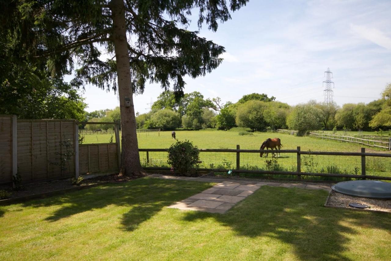 Avondale New Forest Godshill  Exterior photo